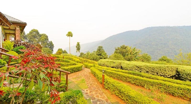 Silverback Lodge Buhoma Dış mekan fotoğraf