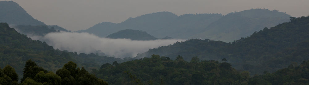 Silverback Lodge Buhoma Dış mekan fotoğraf